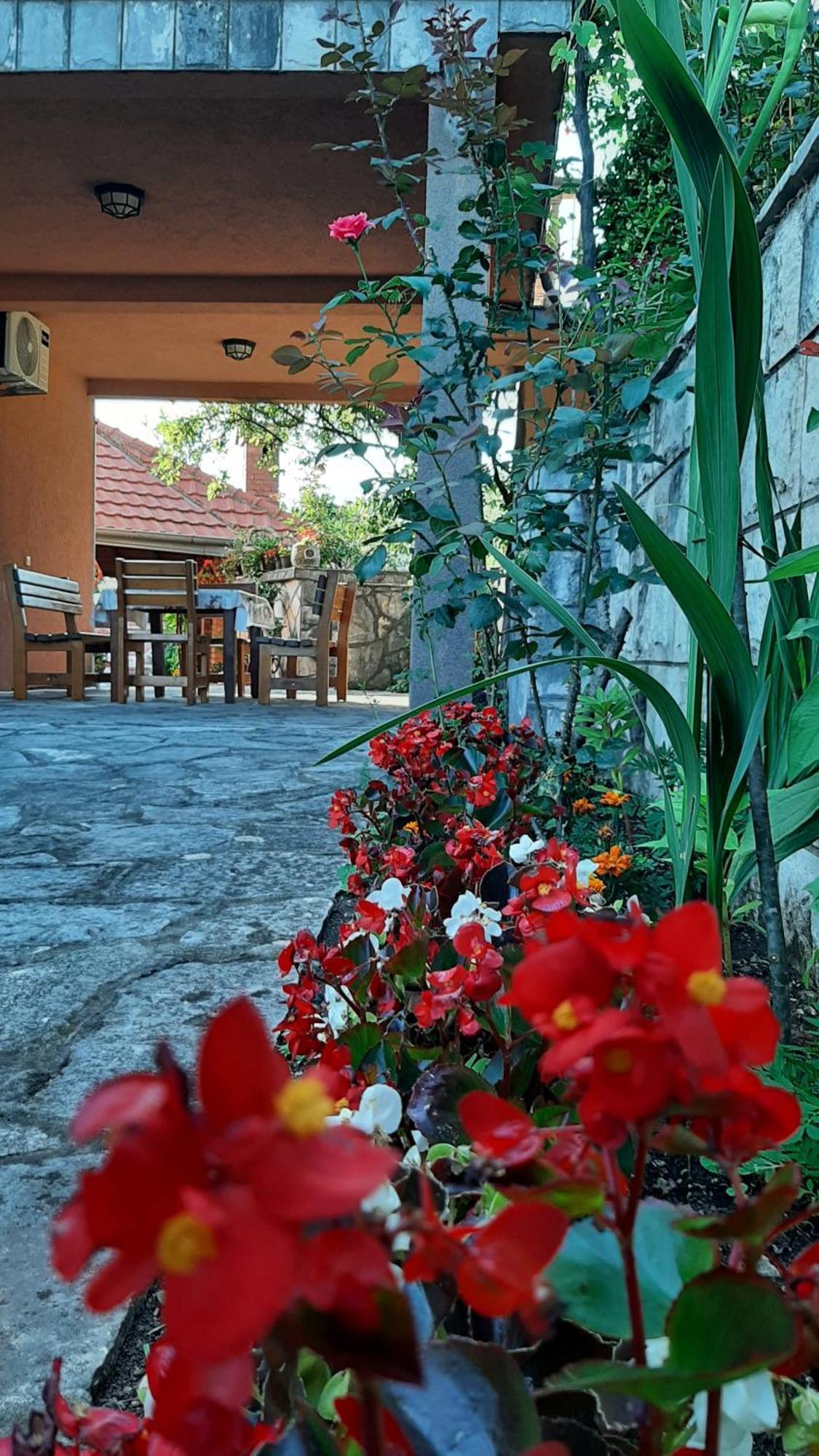 Apartmani "Dukic" Pelinovo 객실 사진
