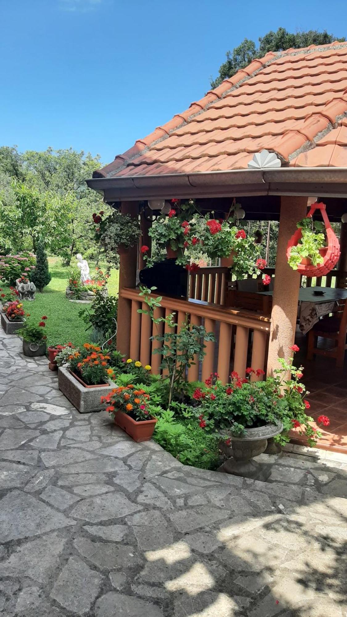Apartmani "Dukic" Pelinovo 객실 사진