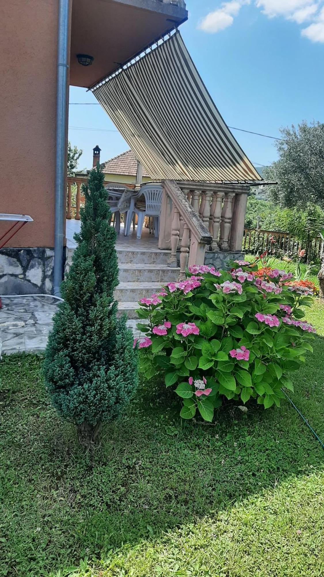 Apartmani "Dukic" Pelinovo 객실 사진